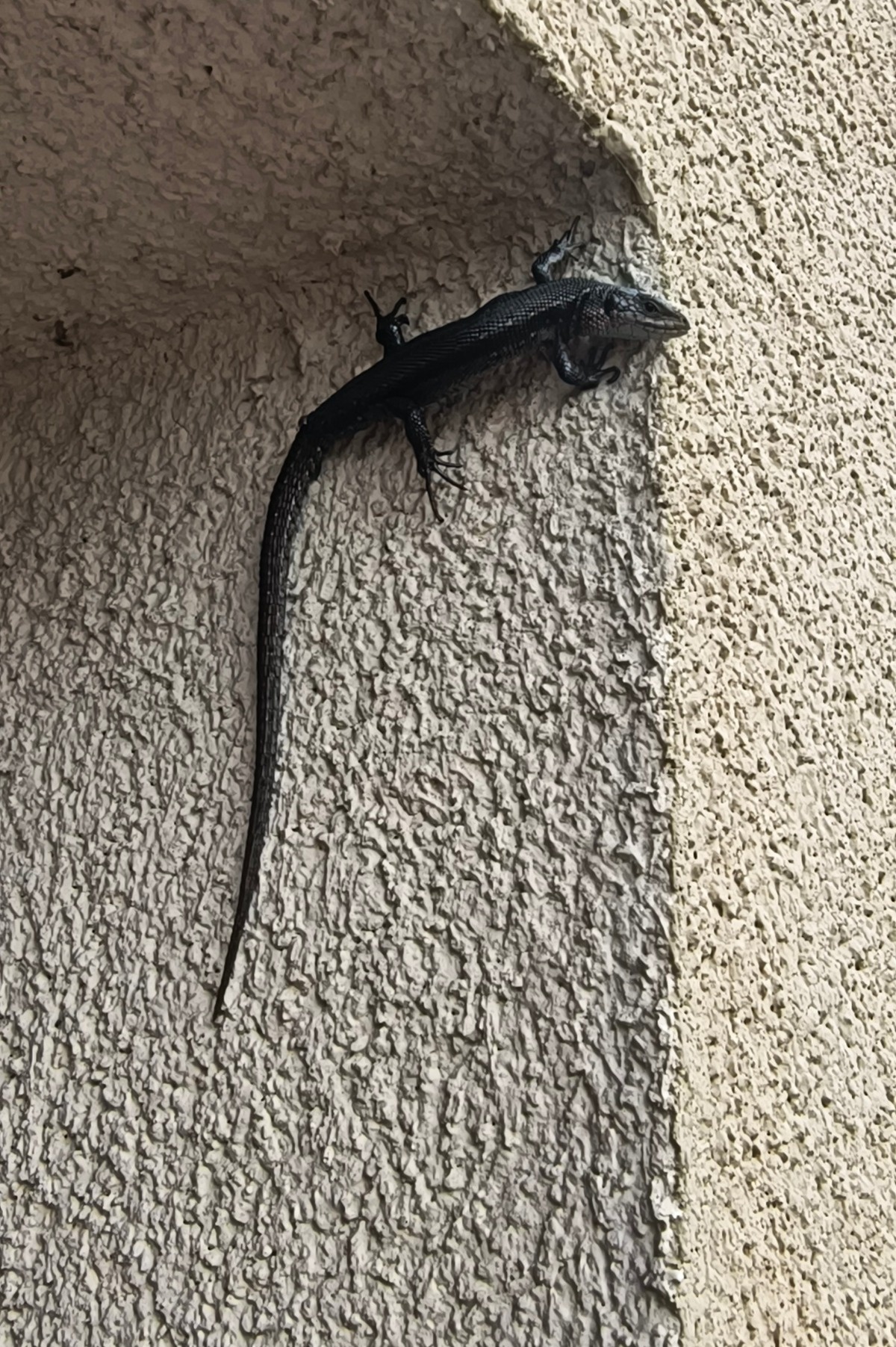 b39a272e-e886-44ed-9c2a-b1f5385cc3db