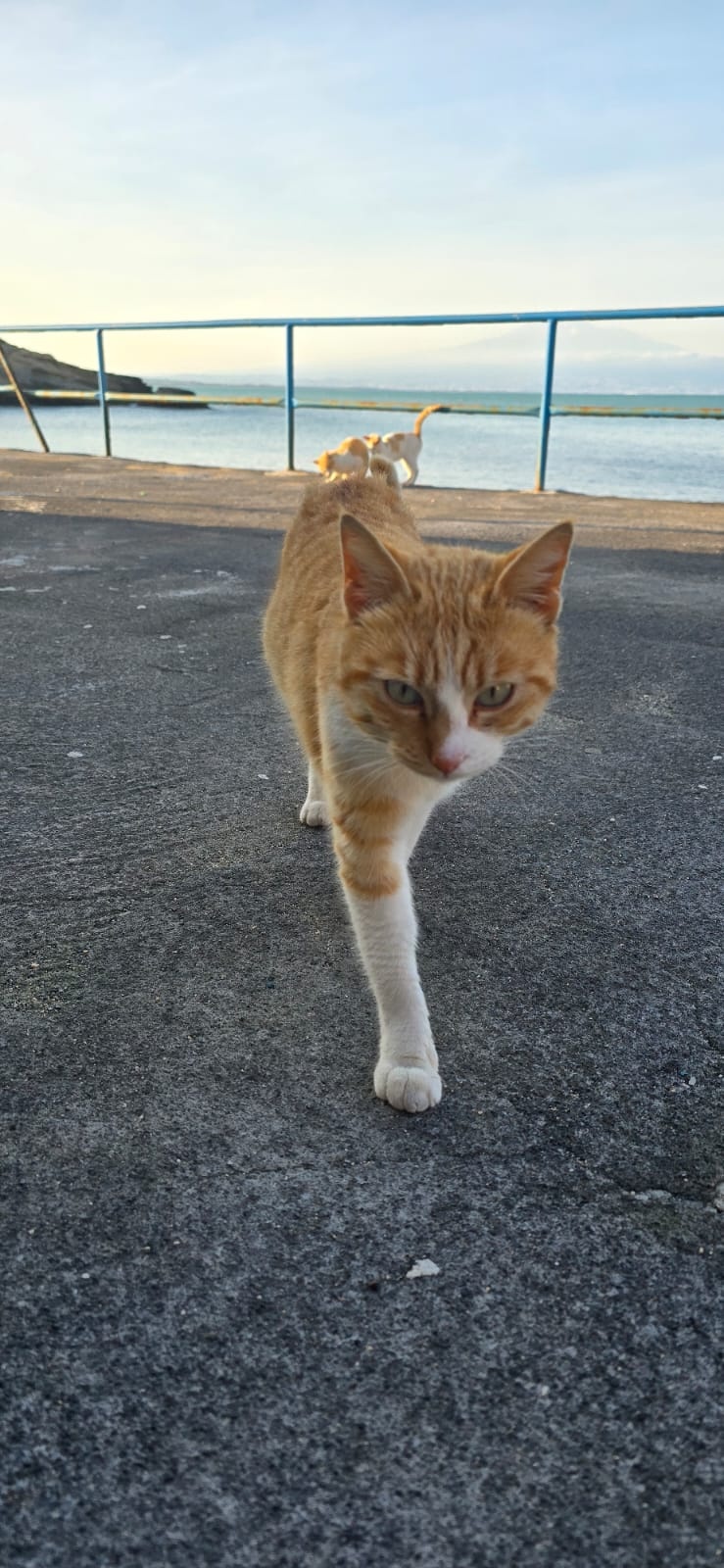 4f393e12-a9f3-4587-9f33-d404db386adb