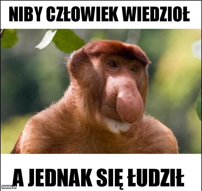 4b7836dd-2f90-459c-95b6-dc1dfbc7b926