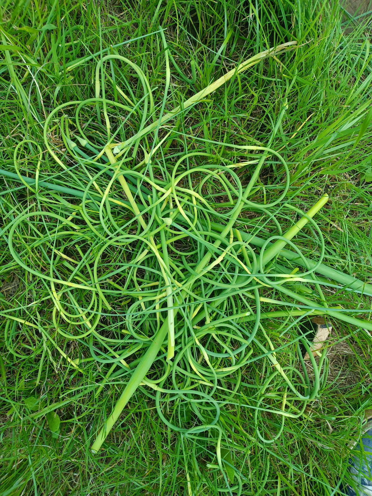 dc2eda02-71a3-441b-9ef1-4d7819709a03