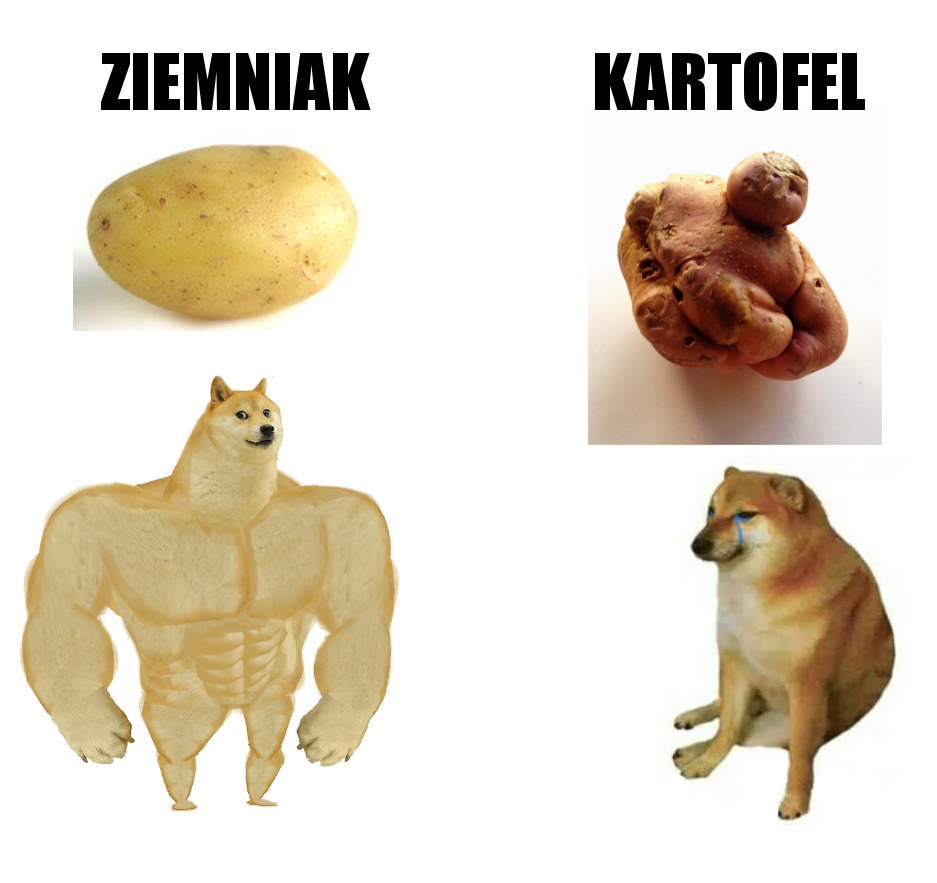 dae5c053-6895-4581-9231-746402a3fc93