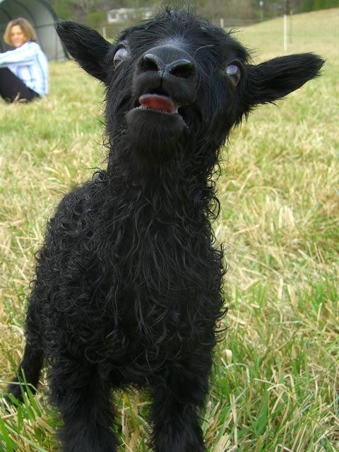 11e42768-d3e4-4bcb-a6e3-23c17681b4ce