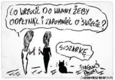 1acaf432-a374-41b2-9051-84640dc4fe76