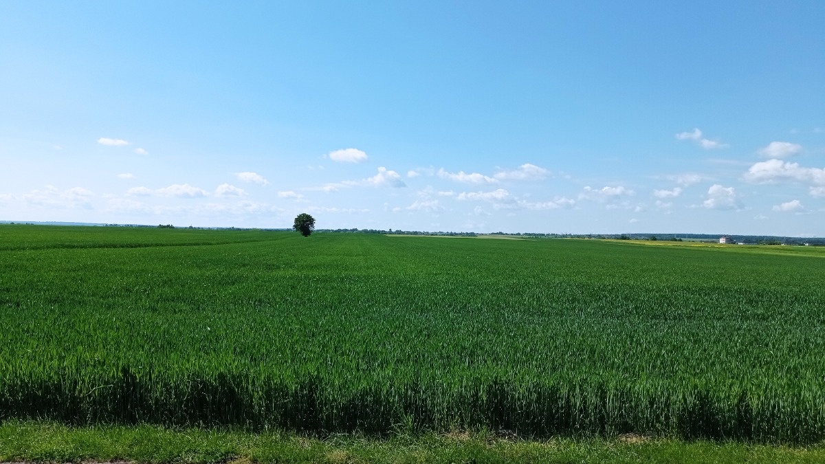 5b36cc8e-4ee5-413f-ada2-bdb058cb465f