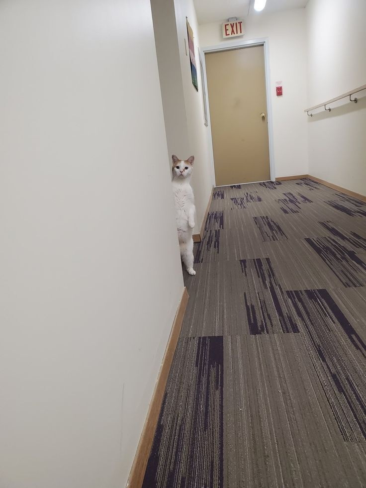 9e10adb0-af7a-4e4b-a45f-895f328a798e