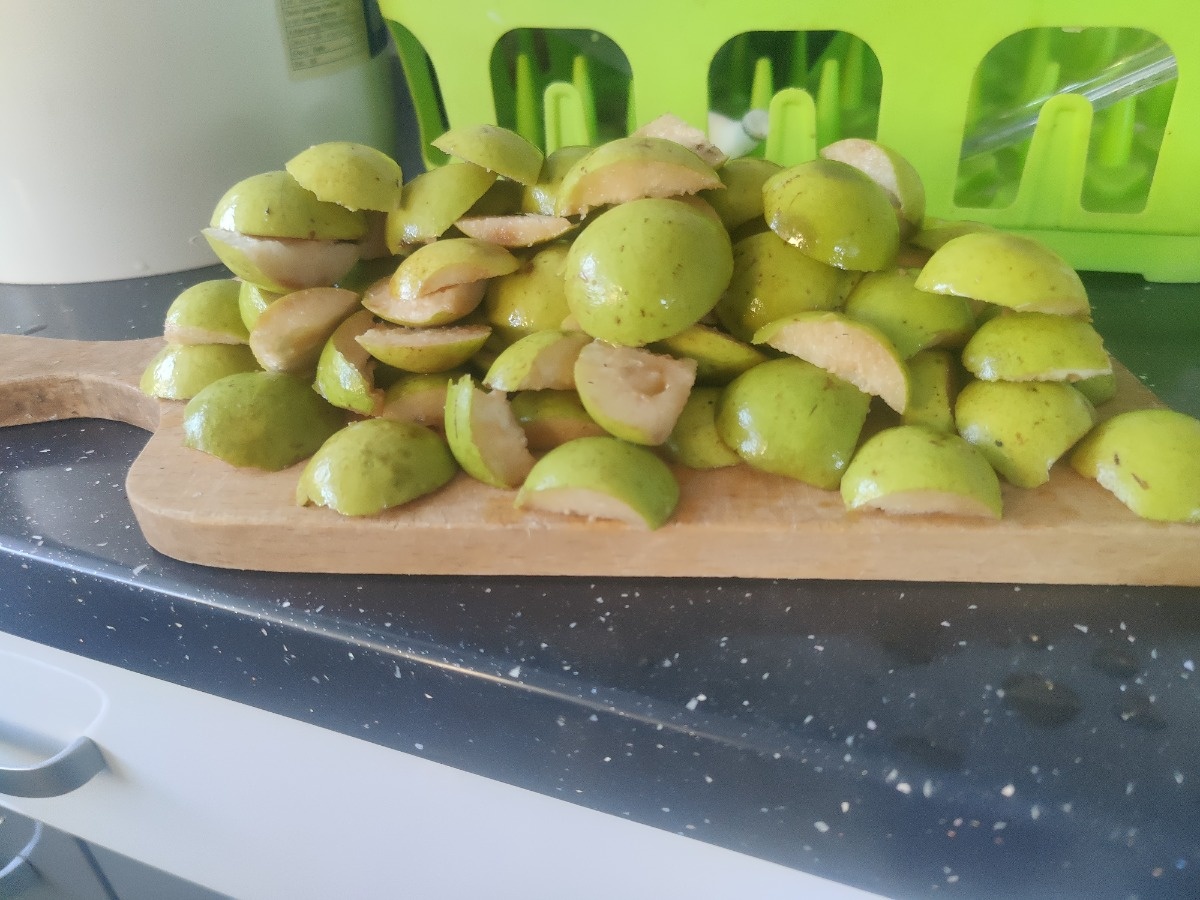 f2fb37e3-3119-4f1b-8229-a7e683ec08b6