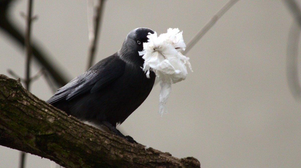 bb01014d-1776-498e-8843-140eb6c9eadc