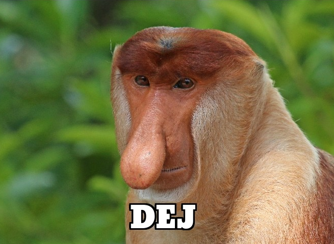 c036d34e-97af-40a0-a8a4-7246a398cd03