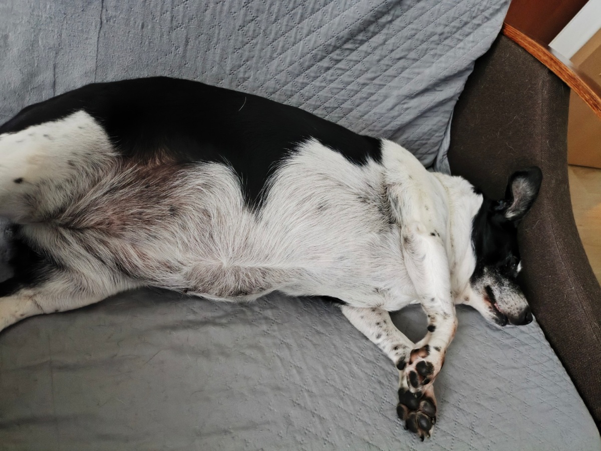 19d249aa-16ba-4717-878f-b102b6b6ae71