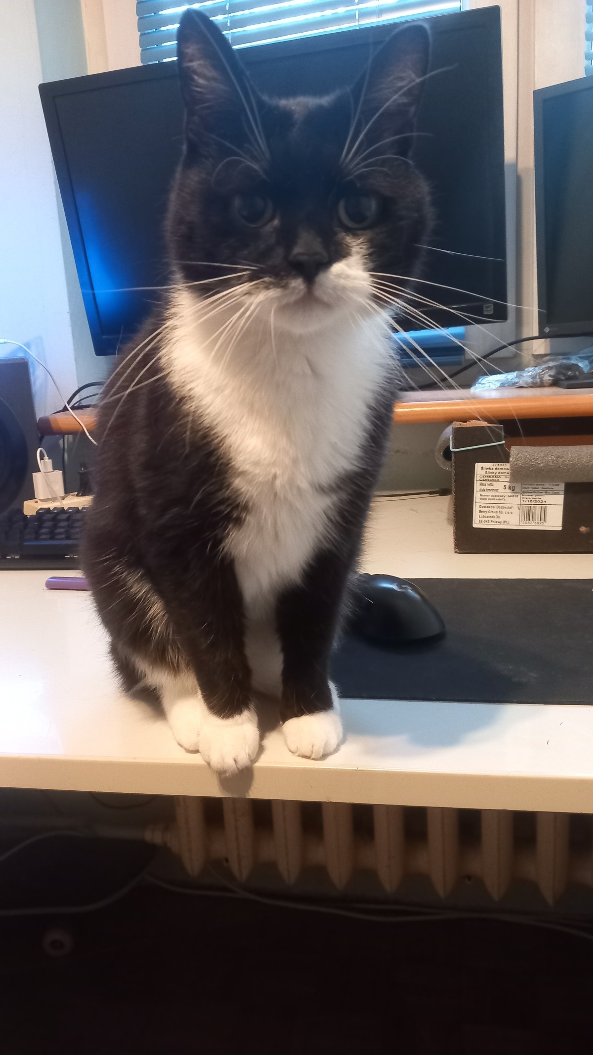 e9d01a26-d1fc-4344-9dd7-5763eb9e944b