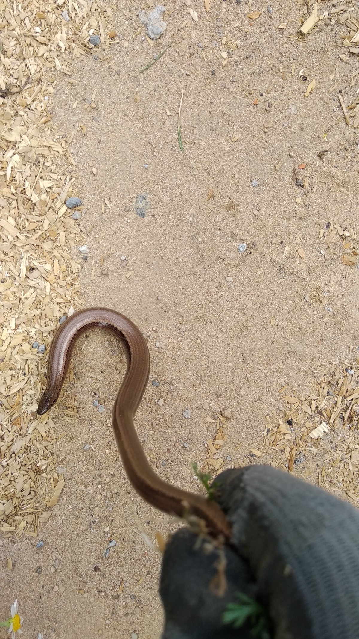 9c2c8053-c924-449a-80db-9f7b4df7be3d