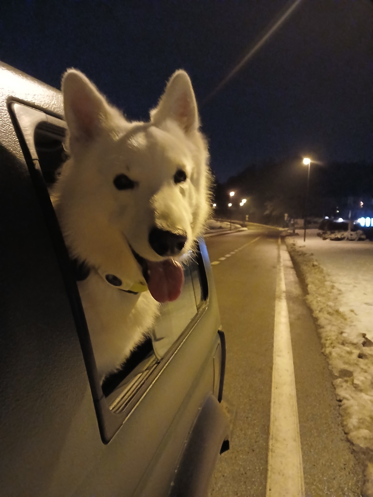 2efc0b60-72a3-4823-b713-ed0d3c17617a