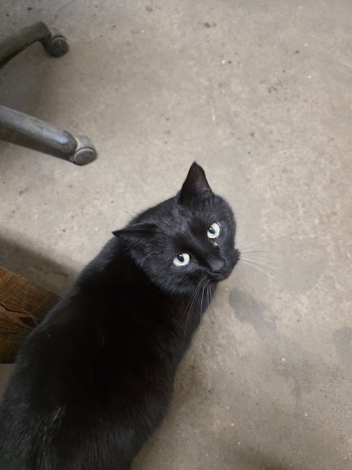 c972eae1-646a-45a4-a95e-bf1430b3fab8