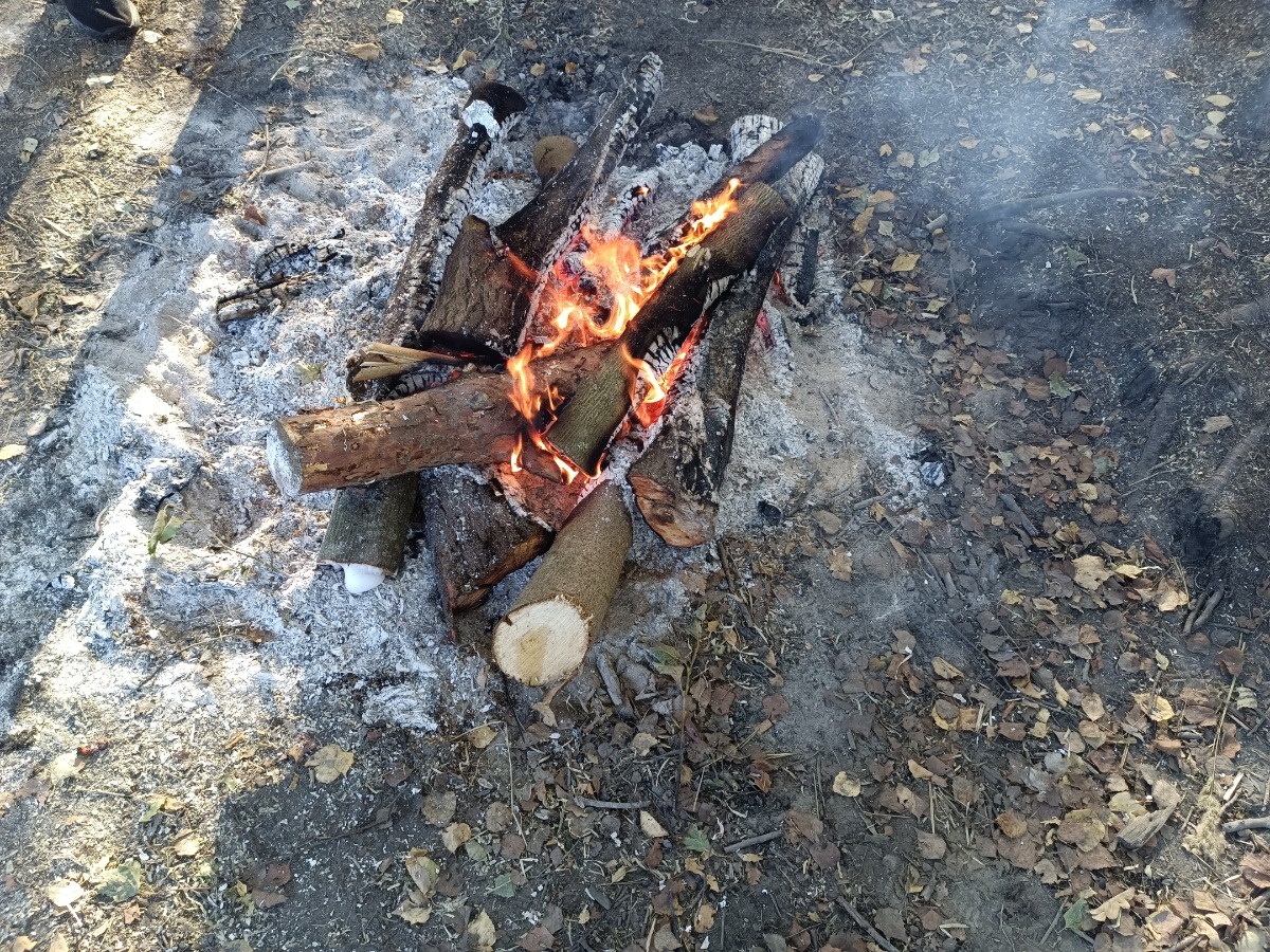 517c9fb5-5e7e-431b-bcf6-337203a6d6db