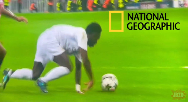 78cdd583-3e54-44c3-b8a8-d1e629a613e1