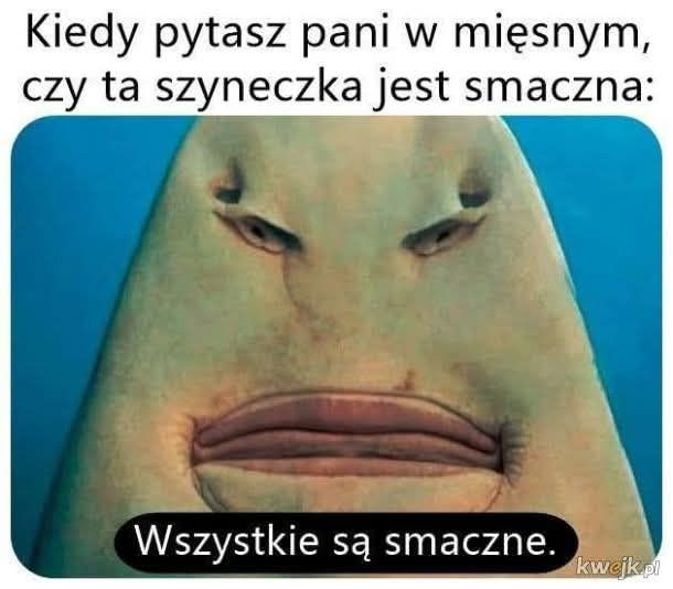 045b7018-78b0-4b5f-9ada-25edf9f361a8