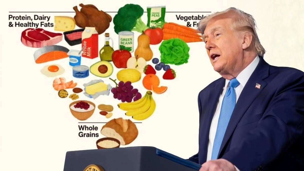 256816a5-660d-4940-a32f-ca0aeaddbf27