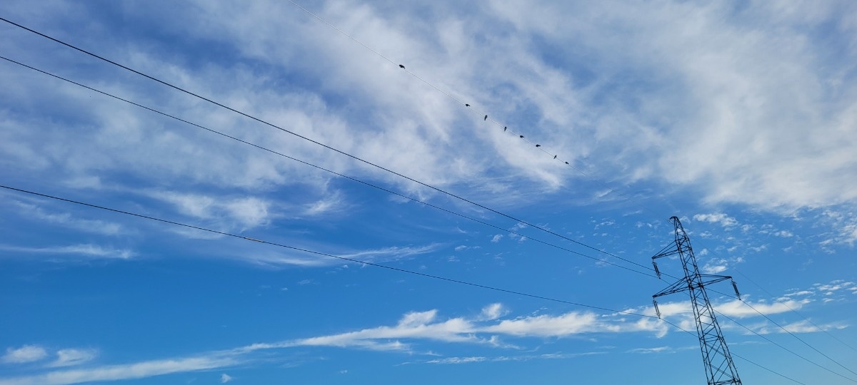 43faa752-d867-4e62-ac4d-d4202c014dec