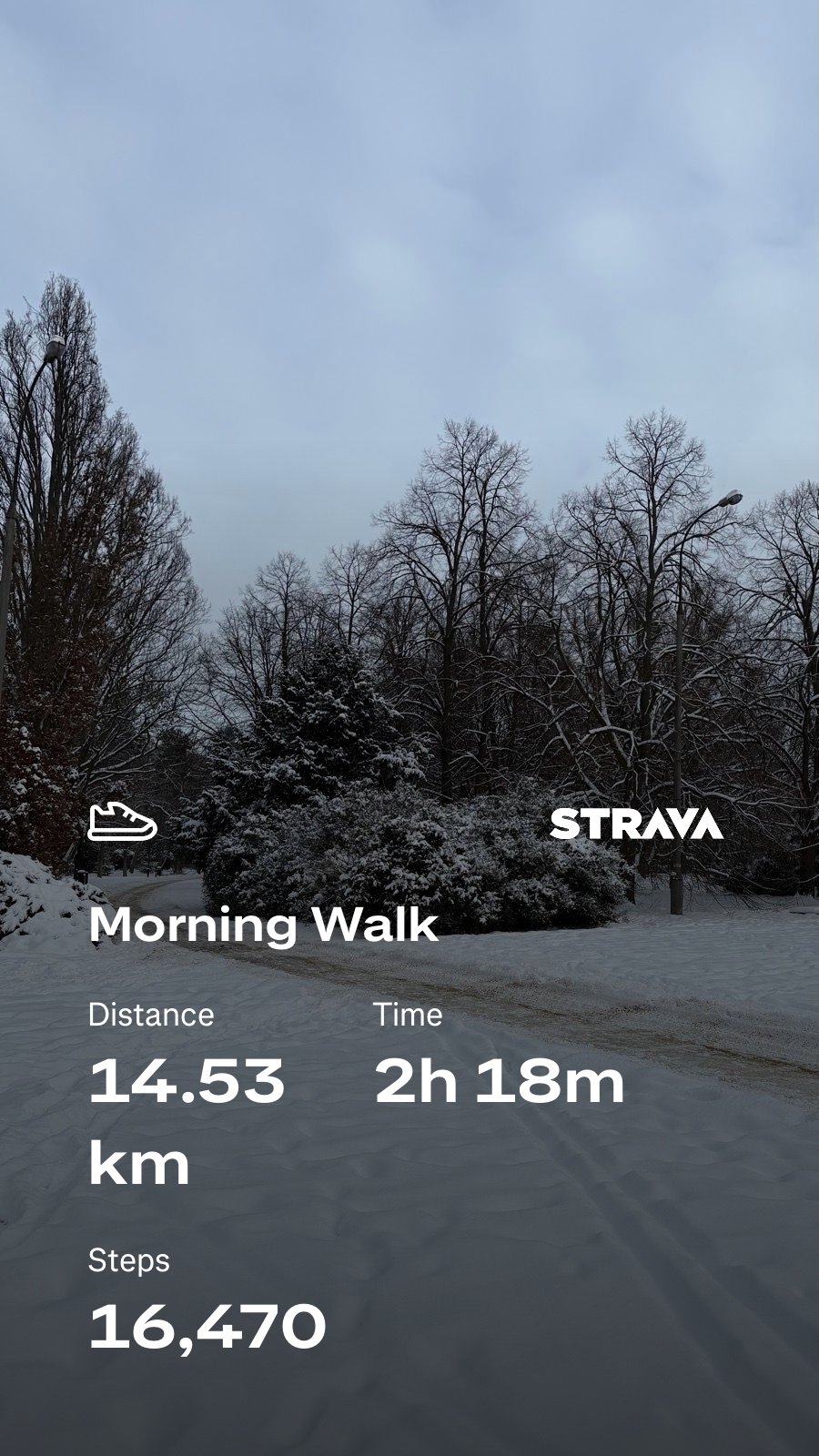 51e4afc3-a700-4e70-b513-e71ba4350f3d