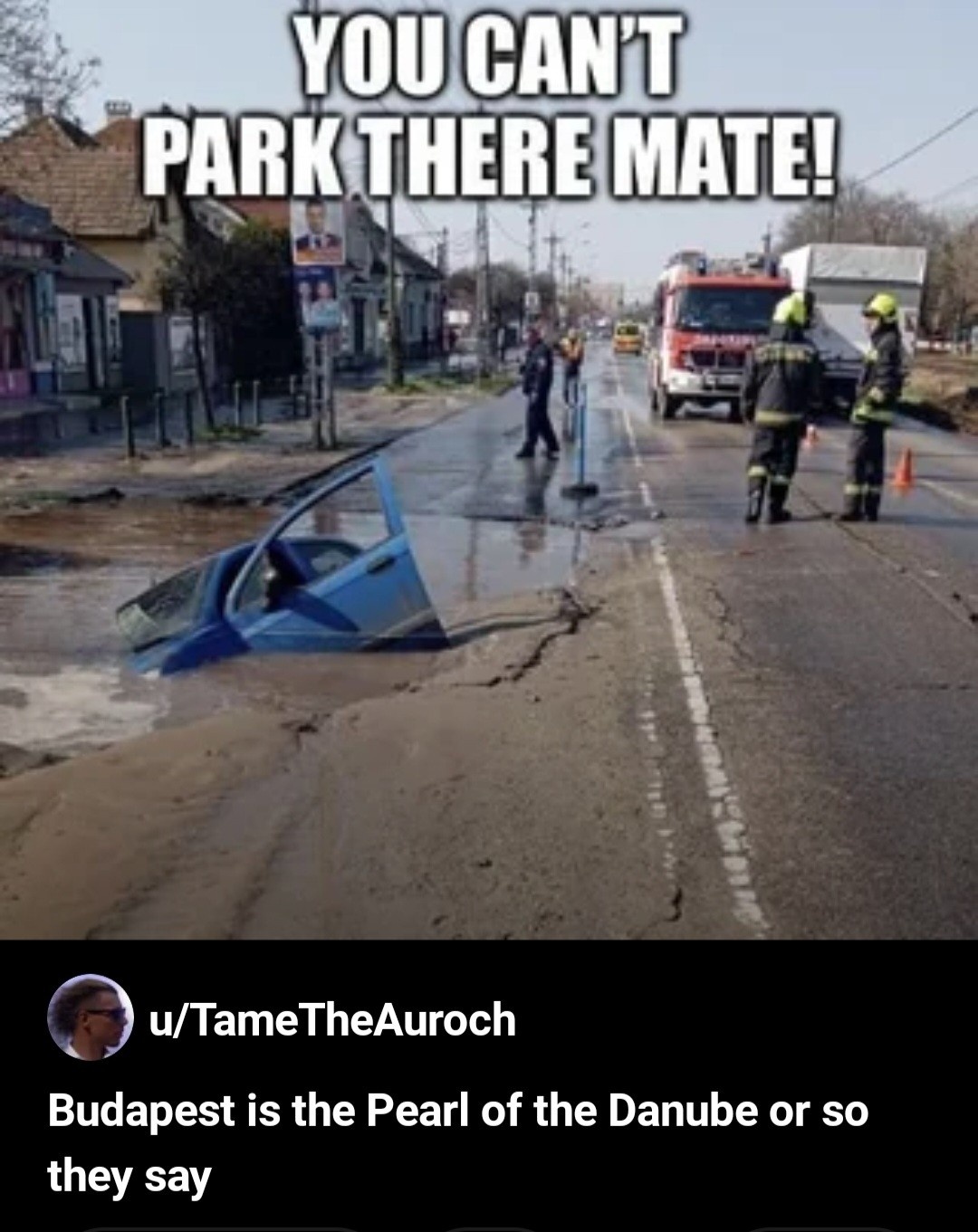 9e55632d-61aa-4bbd-b9a3-efcada1b96d9