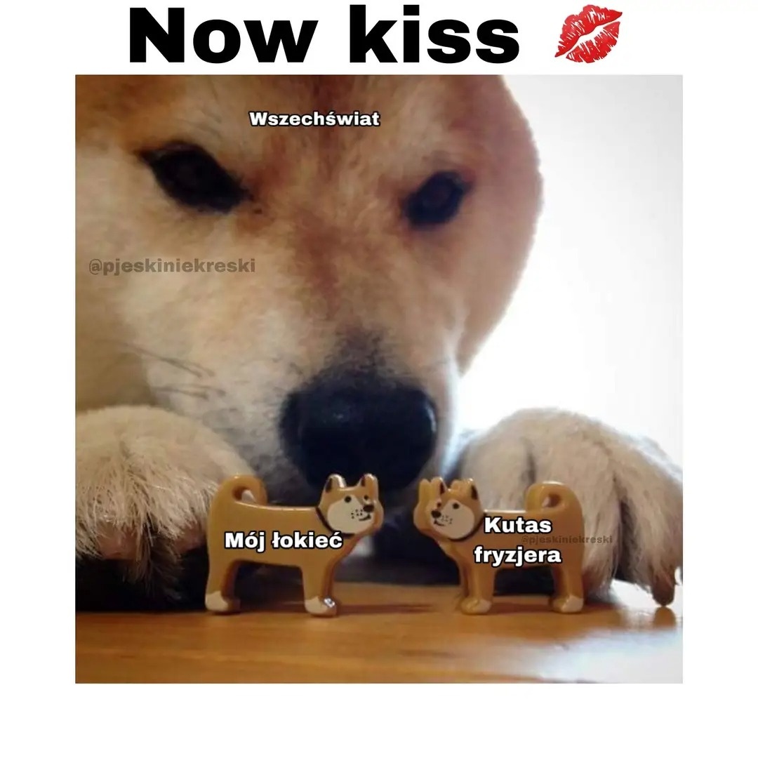 d9dce0ed-4557-47bb-81ba-45083d2ac804