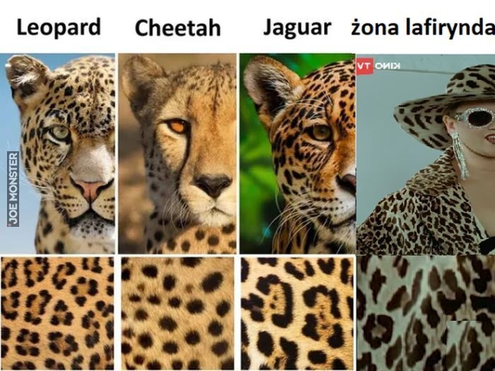 91e0ce28-b850-470a-9e8b-10cebee3a456