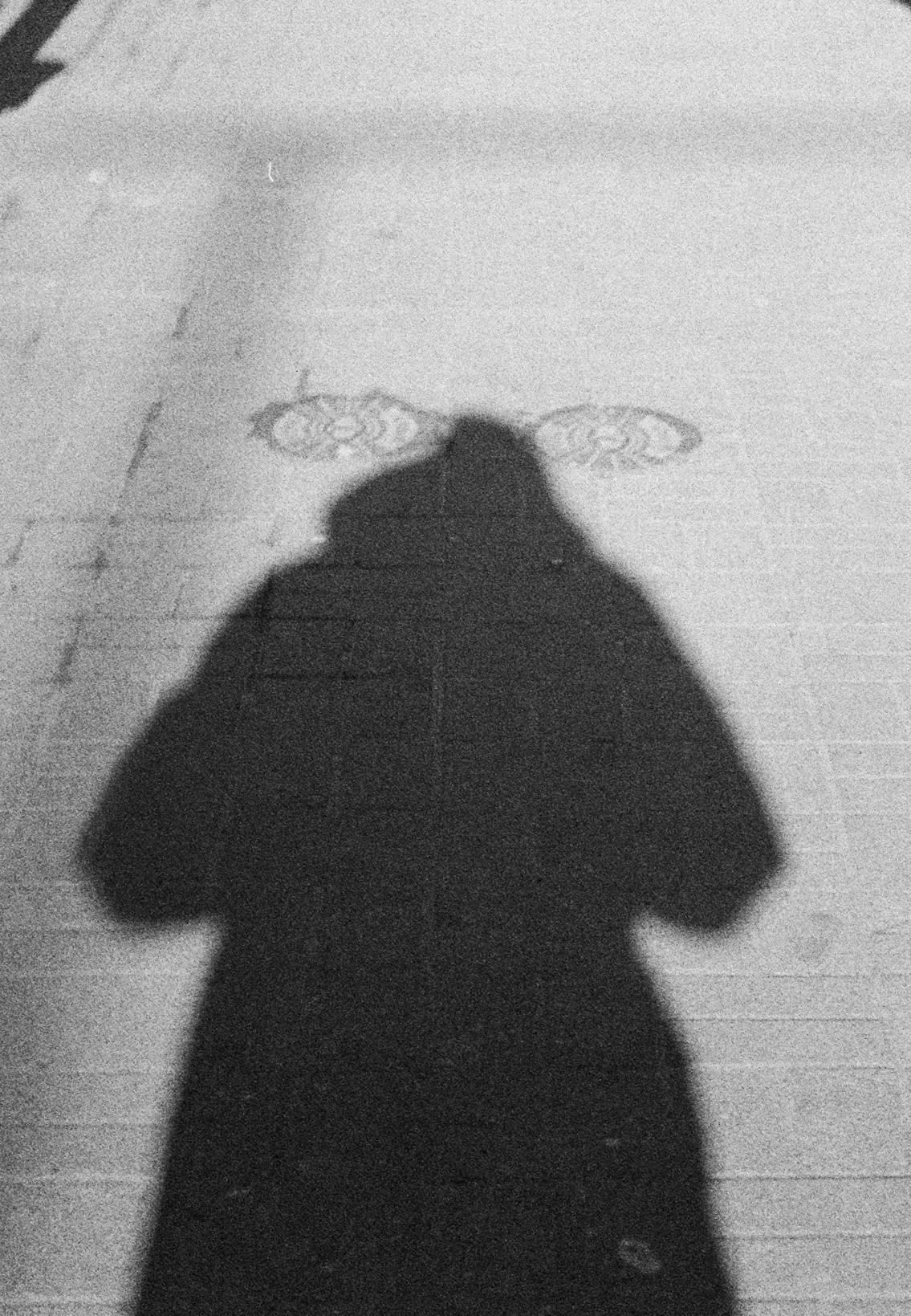 98c0ea78-8e36-4d97-aab9-34d93598e261