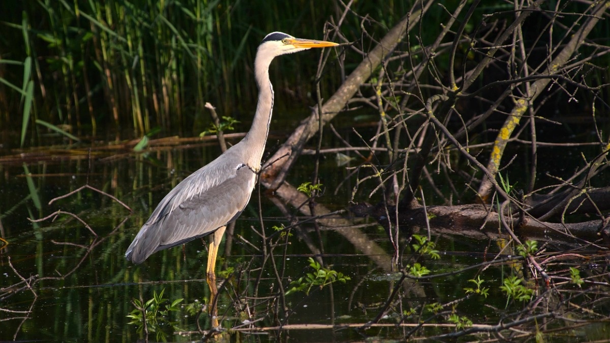 567f5a60-3f2d-4ae1-959a-20ab97c2d8e2