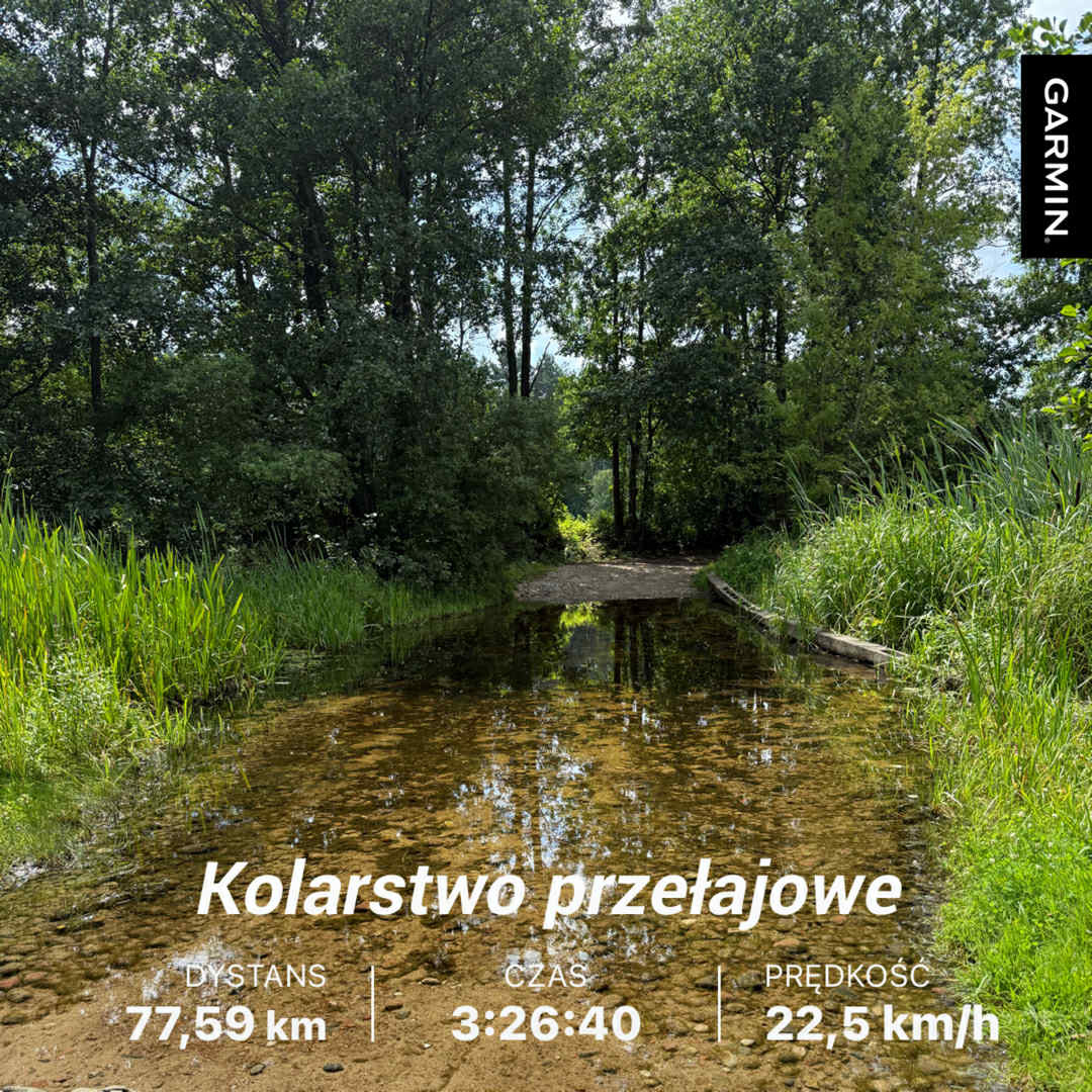 a3897de9-569f-443f-9381-aaf1bb89d9bc