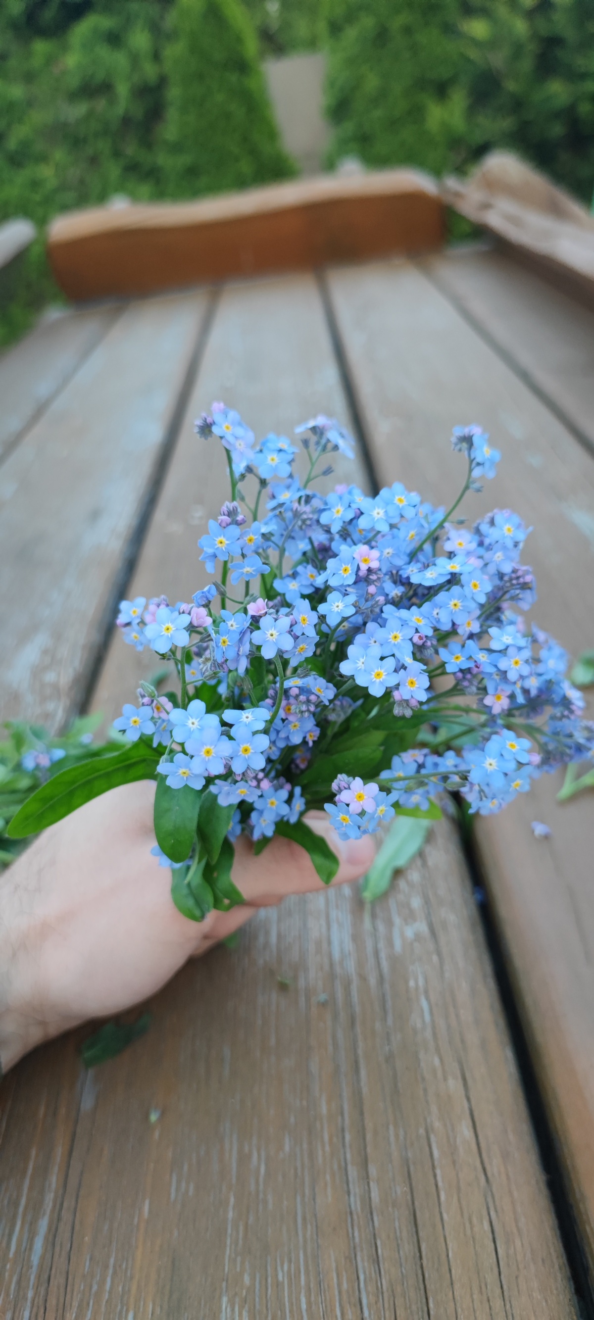 933056b1-8df8-4986-804c-df40337f29dd