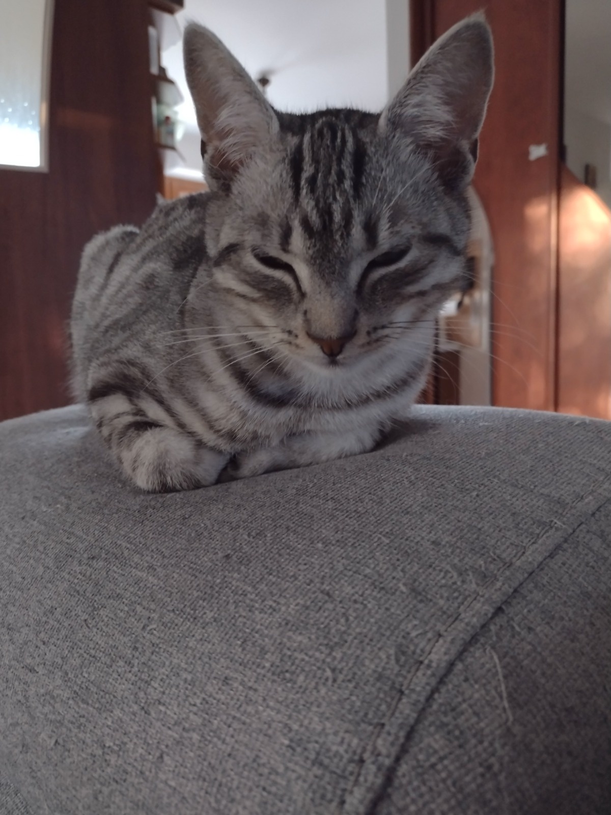 47376e94-09f3-4126-92ca-7e7bbe5779e7