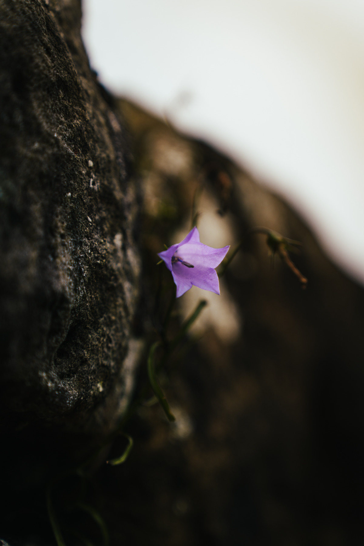 371f1f10-ad34-4d25-88b0-1385c9c00dc8