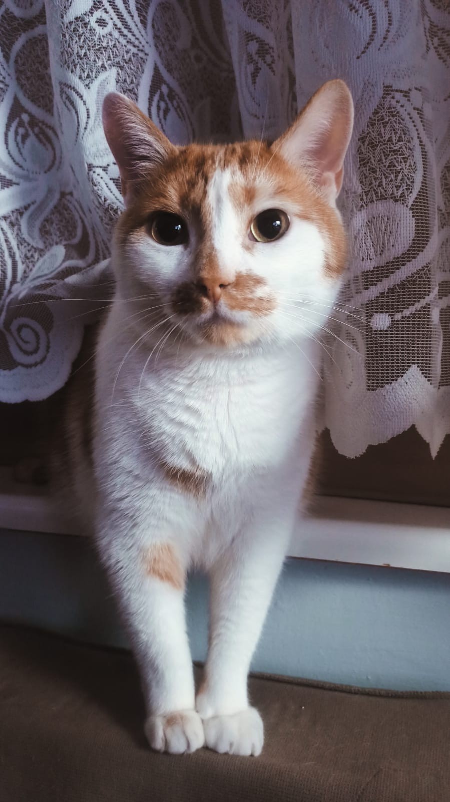 36a86bbc-a56e-43d2-9959-09e74ac47cd4