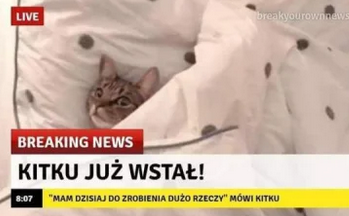 7e9ea241-bfd0-4ed0-8fee-6236b485eacc