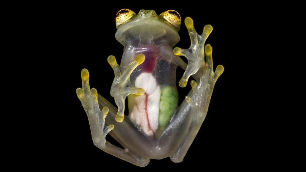 ade19704-9d53-46e5-a681-09c70a6fdf03