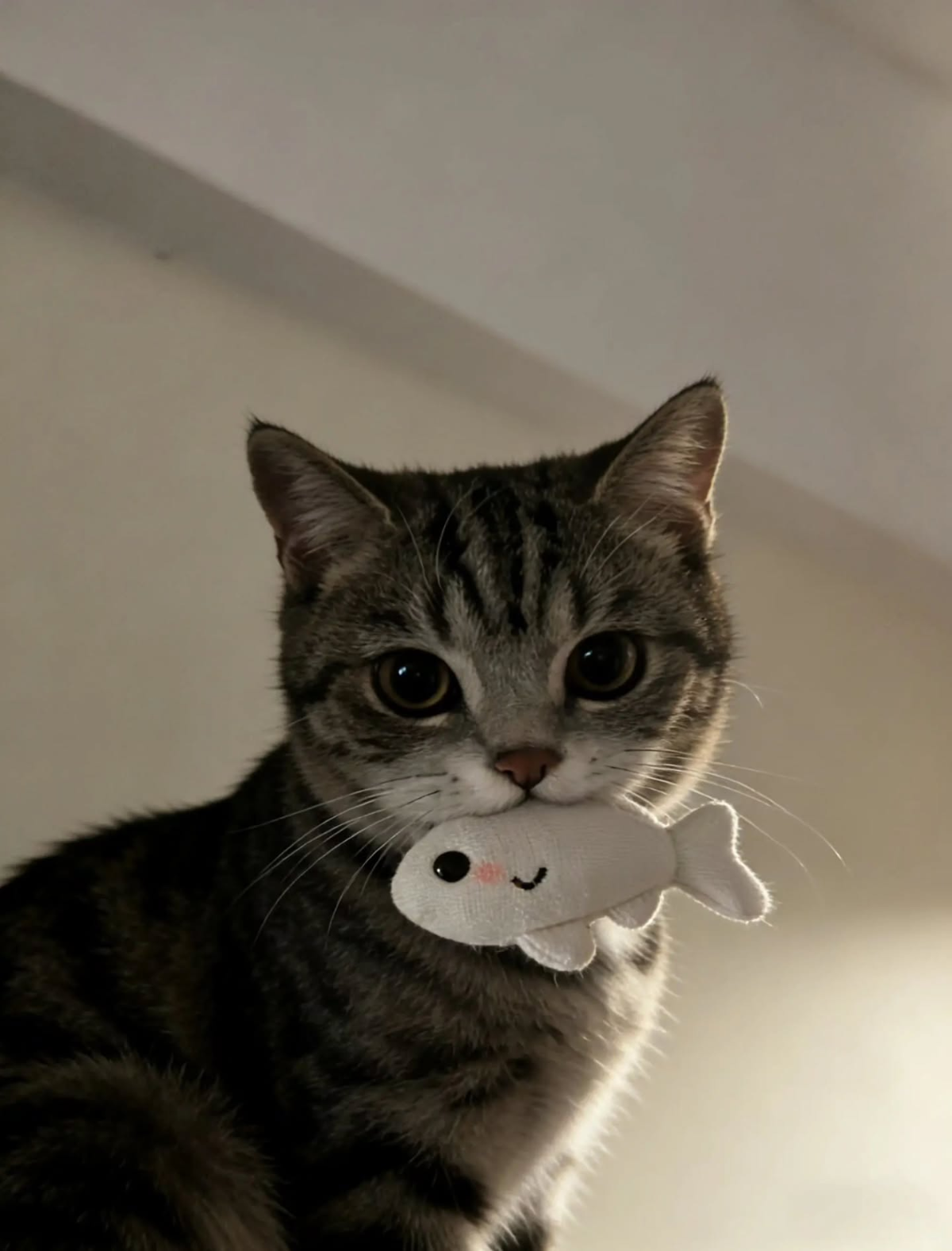 4a16fd57-a8ac-40f8-a17b-8688bf6d5d4b