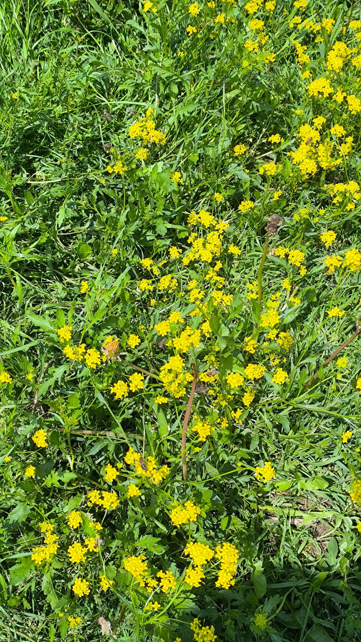 f3abf095-401f-4620-91ed-4f6654fb864a