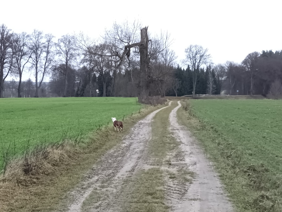 0d09d39a-7543-4d65-9467-f4b6bc7b0371