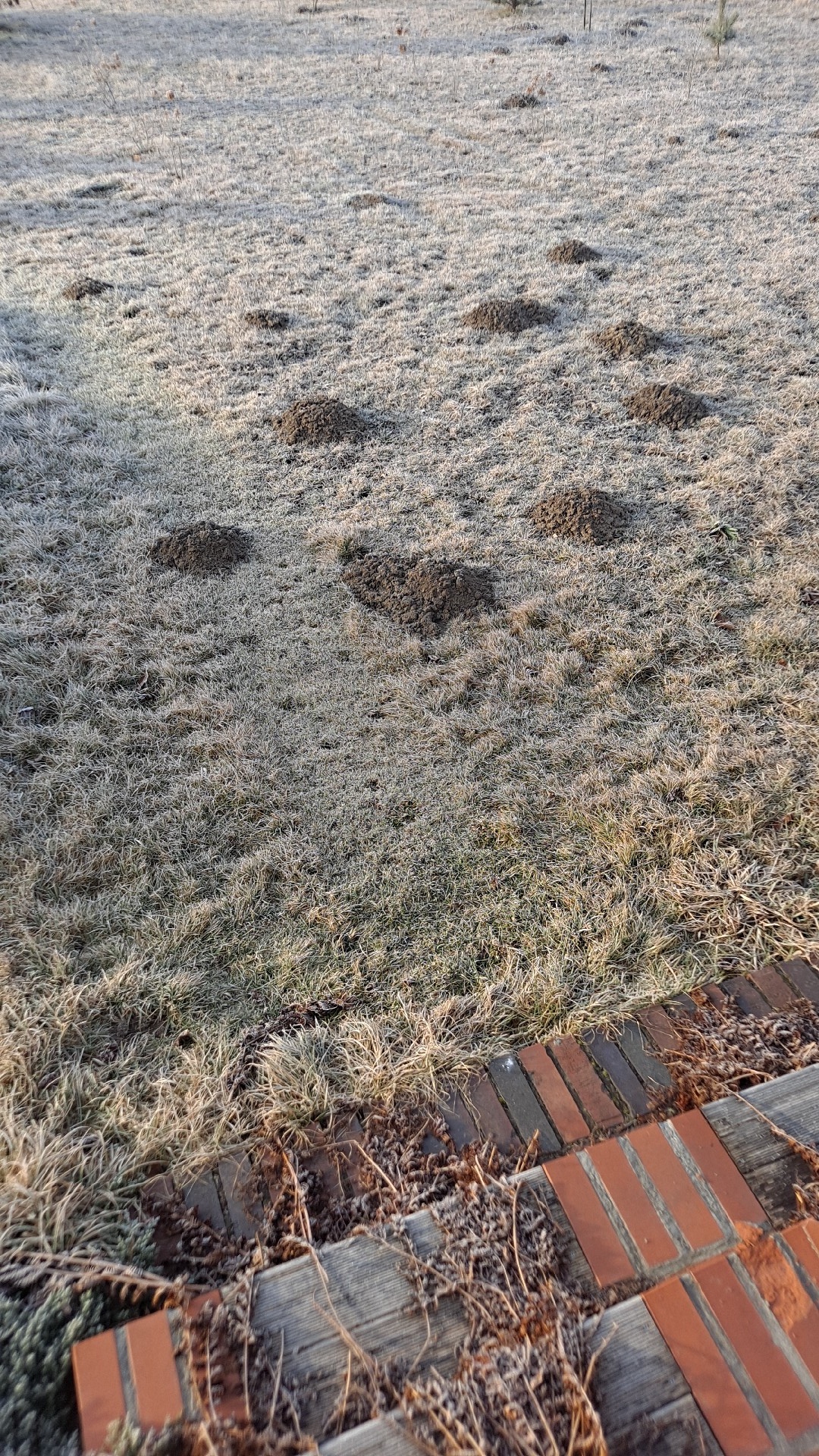 4c1b762a-319a-454b-9f1c-20b66a5dac65