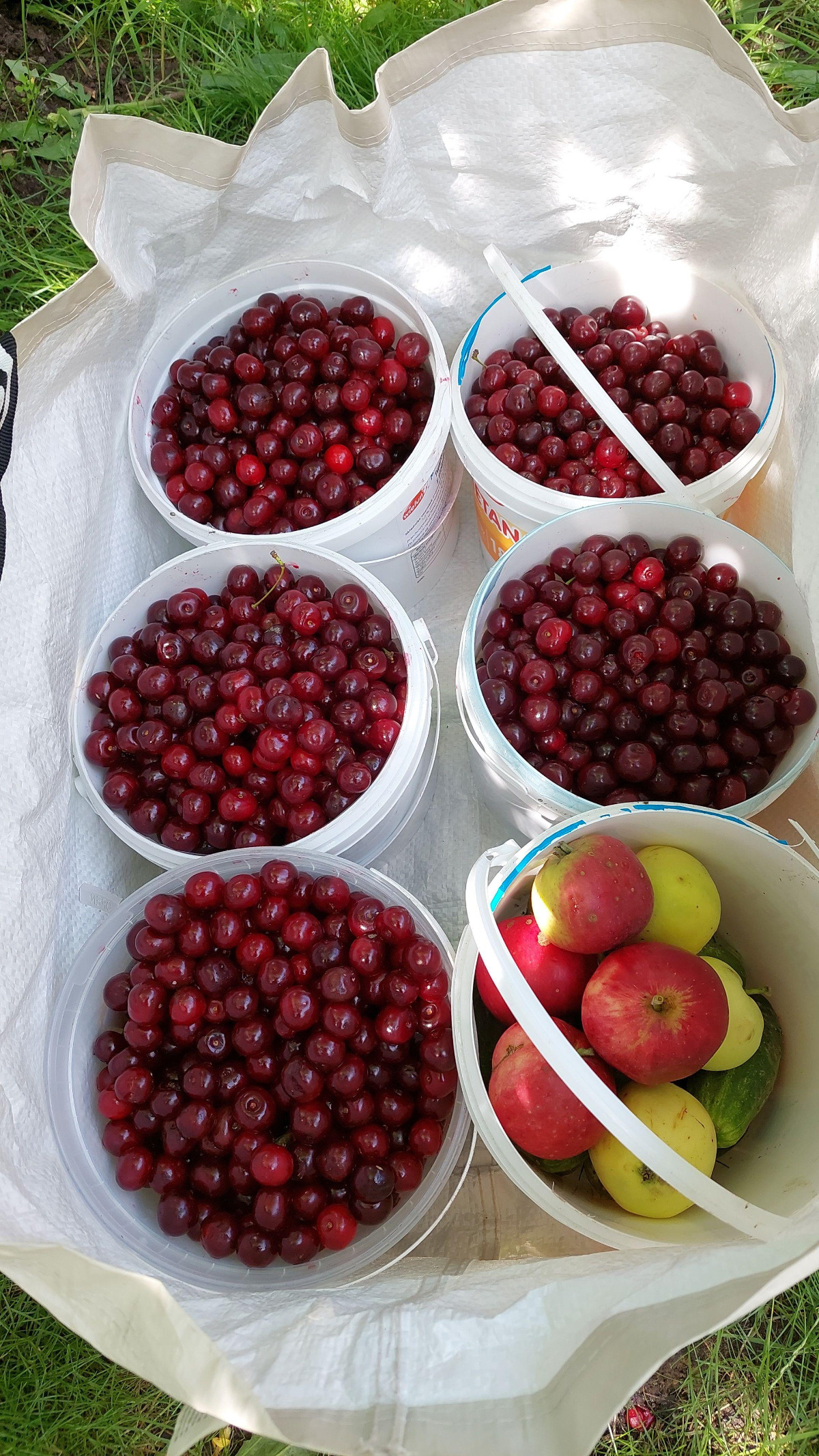 4545878b-e404-484f-a696-08acf72aad6d