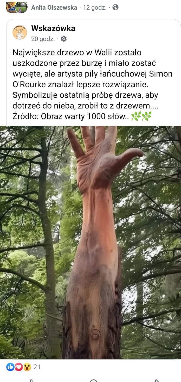 75b2e371-510e-4b80-bdde-df5298b58059