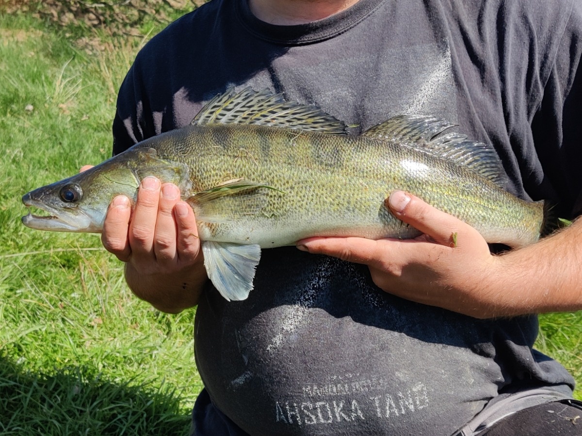 4e4bf7d8-1ed2-478f-9e7a-2b653d48d2a2