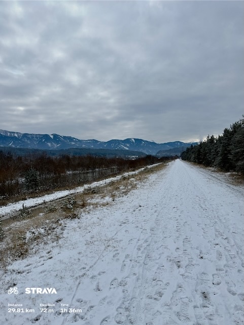 51cf7203-8bb9-48b5-ac29-66b0ea1df2da