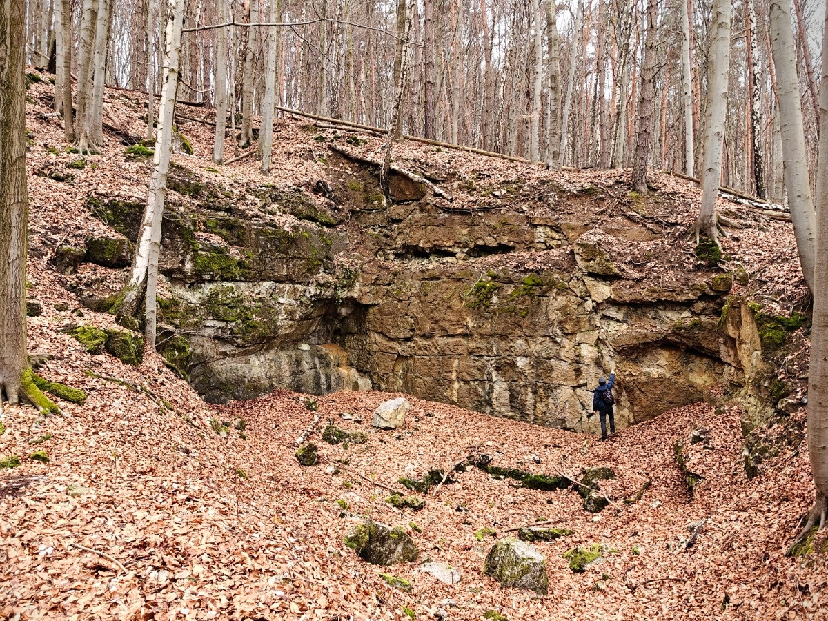 410698cf-e686-4d56-b861-765936e080bc