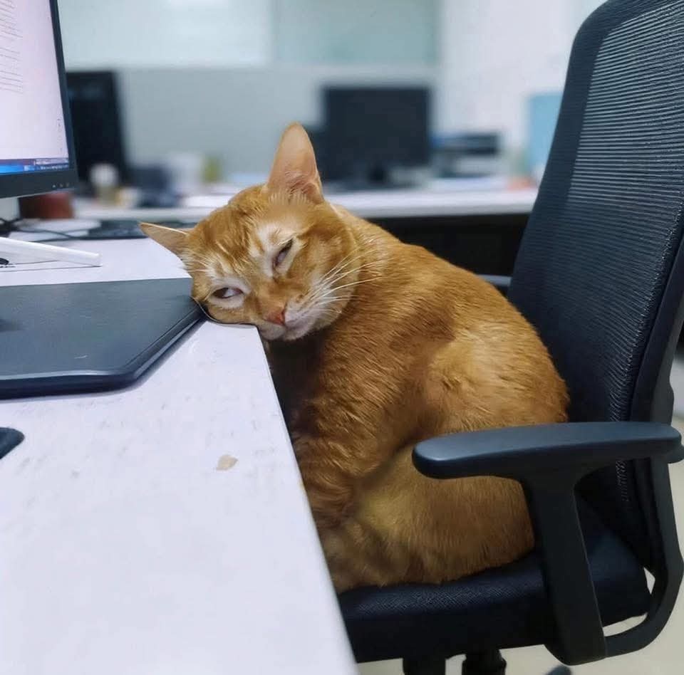 ccc6c0ff-6a11-45c5-8a98-3a1003be1c9b