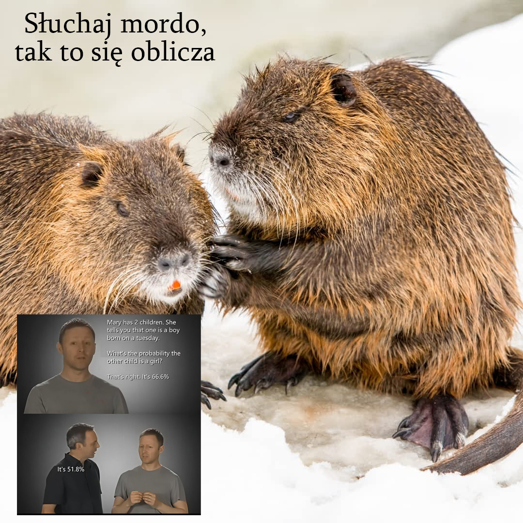 f476fd57-a71a-46e6-aabd-31656cfe9470