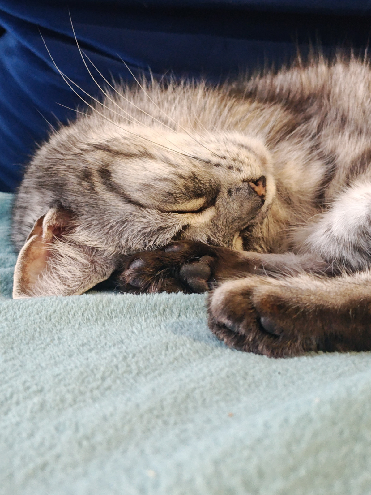 4daeb3f6-30ac-4c86-a834-7f093b6da641