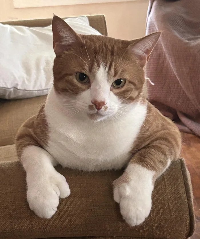 c62c68fb-34aa-45d4-8a08-06131def7c40