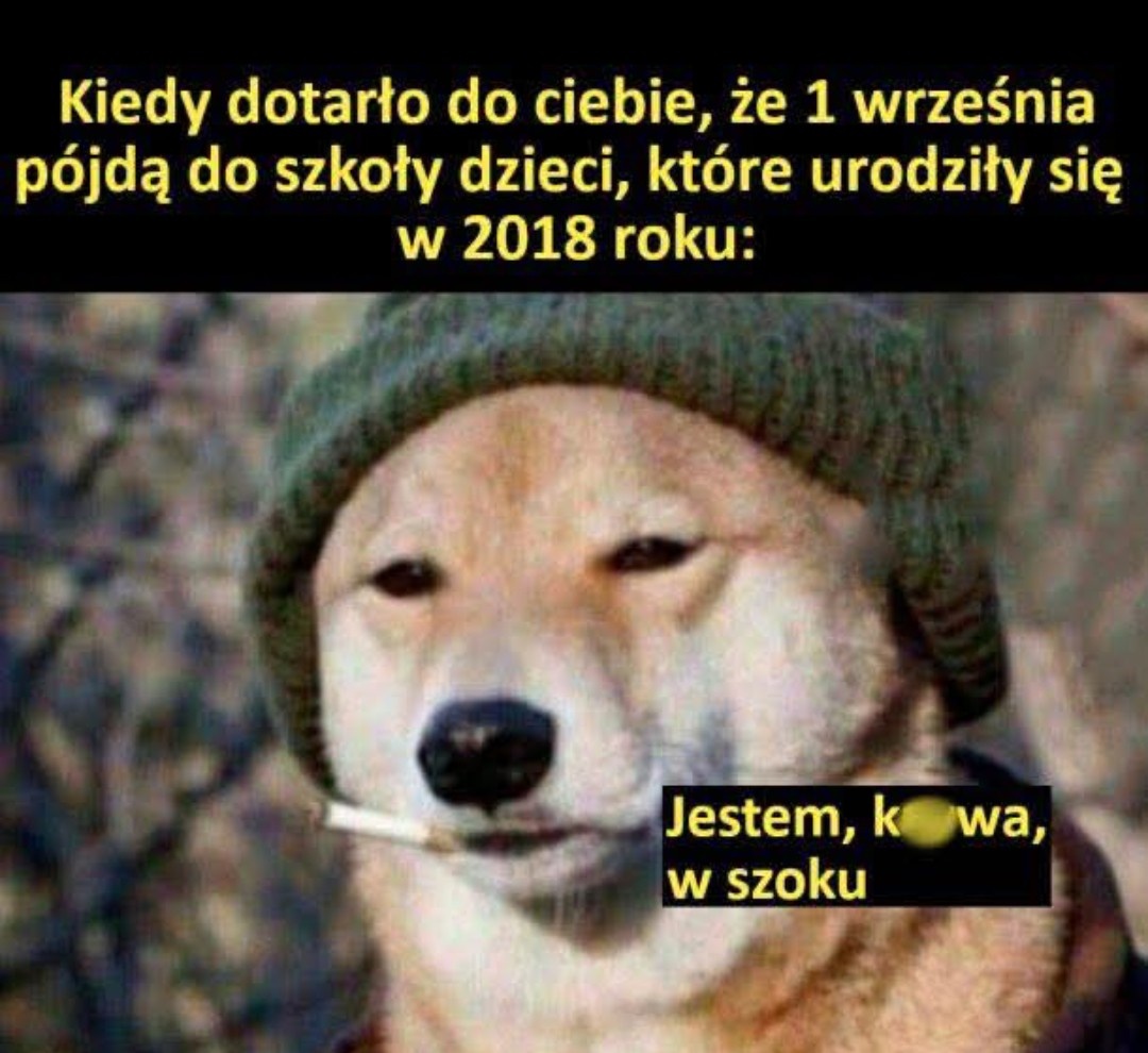 fdbefdb1-dc3a-4f8b-a009-33c9bf025bcf