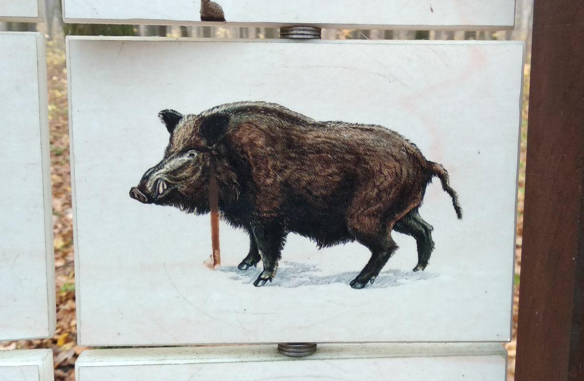 0625c232-9e1d-4d66-836d-5ab713a2794f